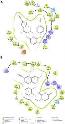 Structural Studies and Structure Activity Relationships for Novel Computationally Designed Non-nucleoside Inhibitors and Their Interactions With HIV-1 Reverse Transcriptase